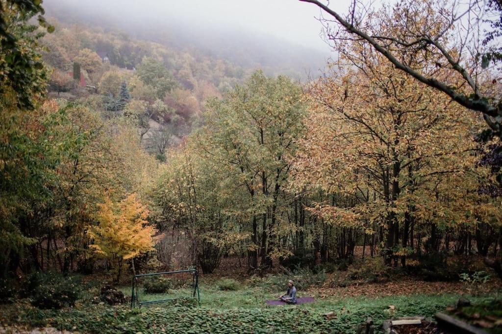 Villa Erdo Lelke Vendeghaz: Mesebeli, Erdoszeli Fahaz Panoramaval Nagymaros Exterior foto
