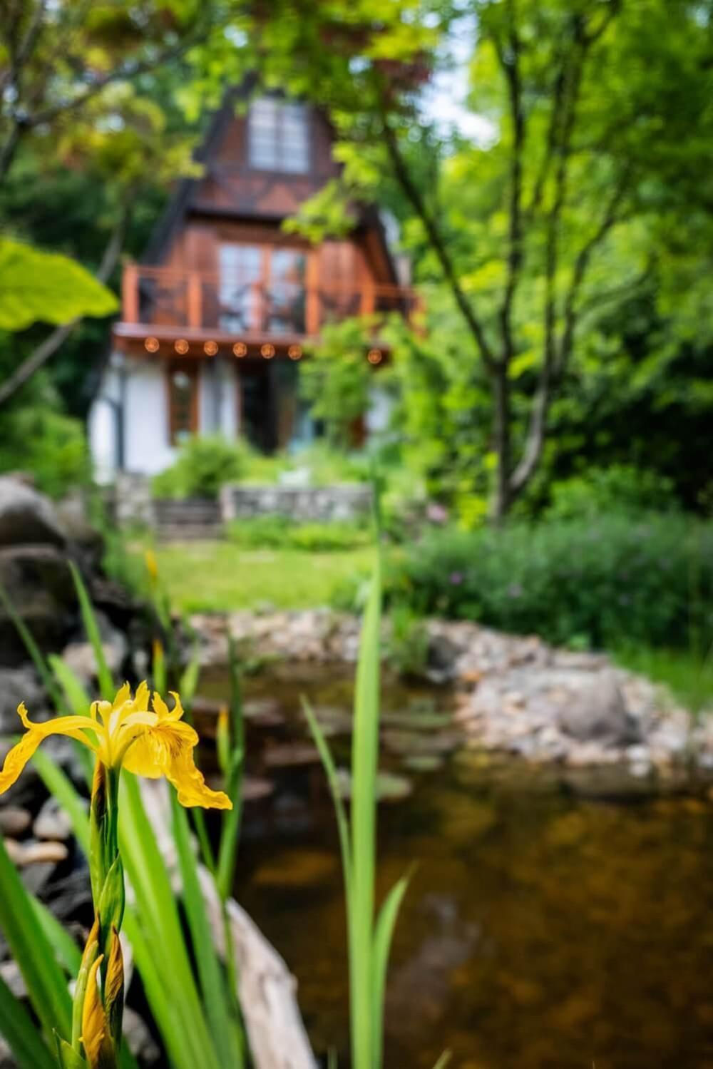 Villa Erdo Lelke Vendeghaz: Mesebeli, Erdoszeli Fahaz Panoramaval Nagymaros Exterior foto